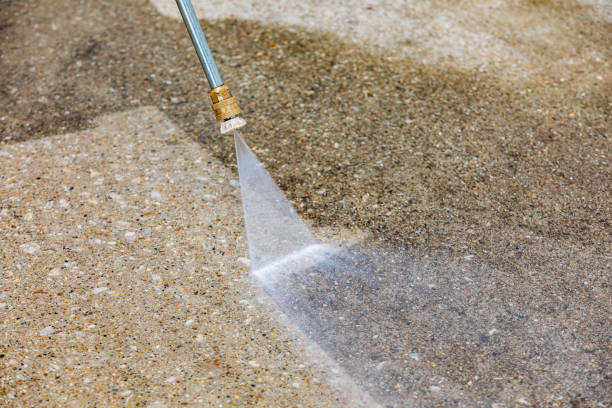 Best Animal Enclosure Cleaning  in Green Springs, OH